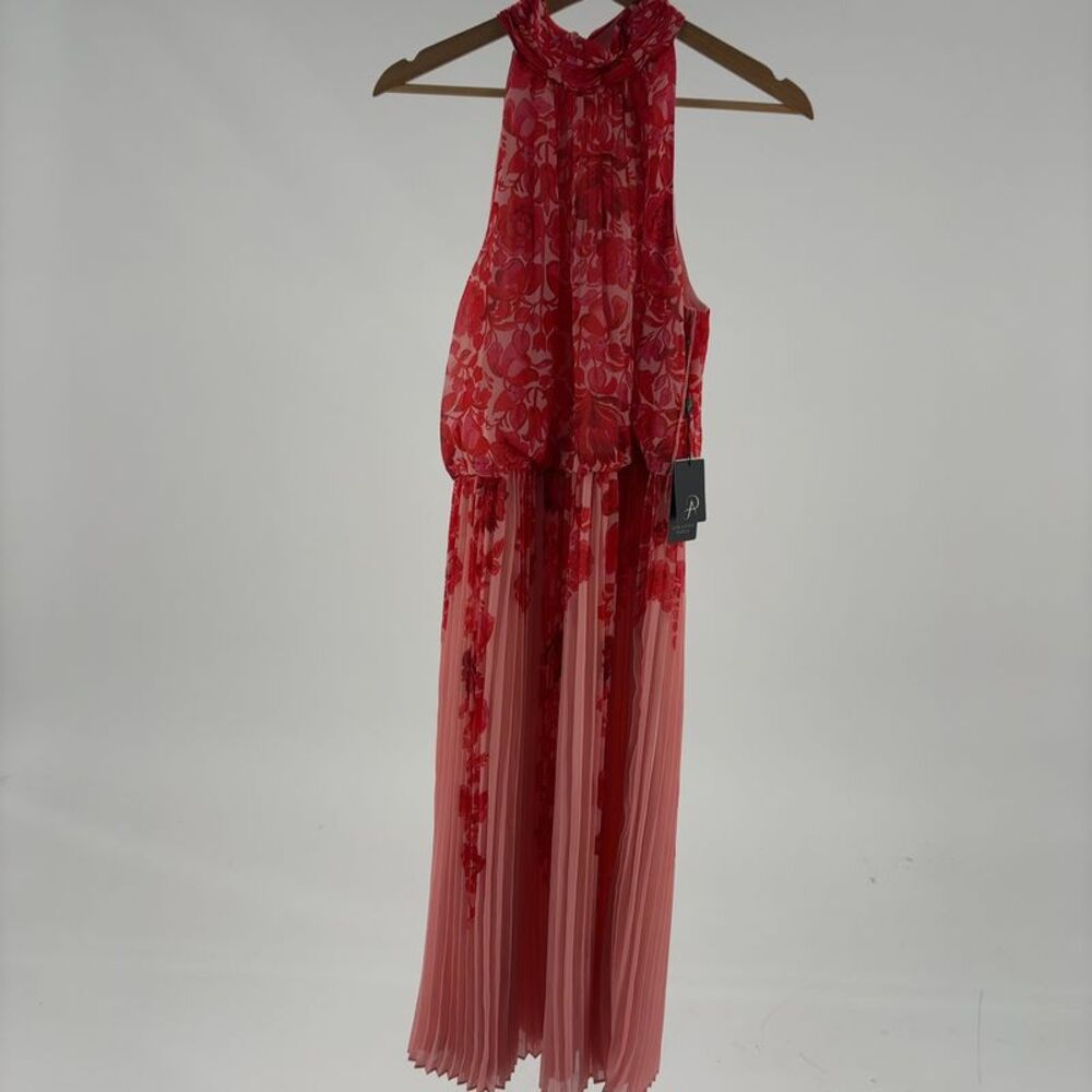 Adrianna Papell Pleated Chiffon Dress